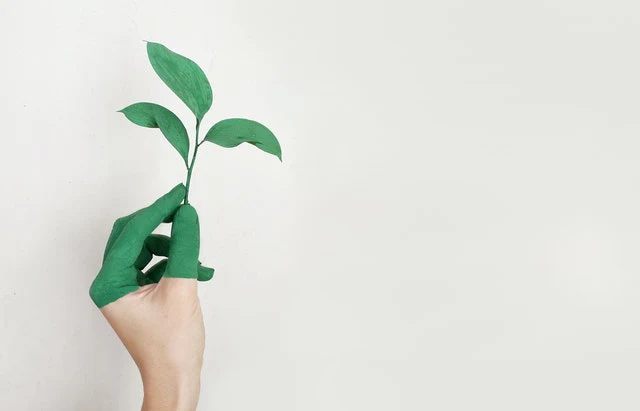 nettoyage_ecologique